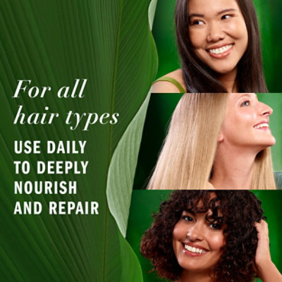 Herbal Essences Pureplants Hair Treatments All Forms Leave In All Forms - 7.6 FZ - Image 7