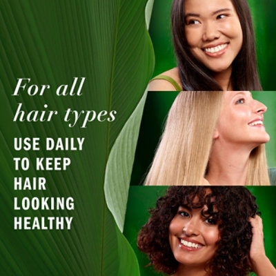 Herbal Essences Pureplants Hair Treatments All Forms Leave In All Forms - 3.2 FZ - Image 7