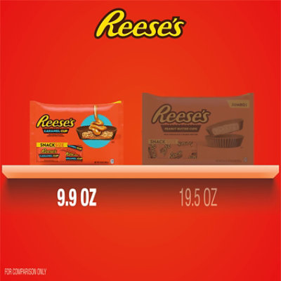 Reeses Milk Chocolate Peanut Butter Cup With Caramel Snack Size Bar Laydown Bag - 9.9 OZ - Image 2