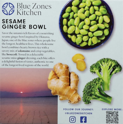 Blue Zone Sesame Ginger Bowl - 8 OZ - Image 6