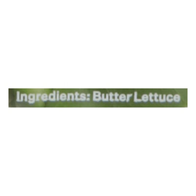 Local Bounti Butter Baby Leaf 9.5oz - 9.5 OZ - Image 4