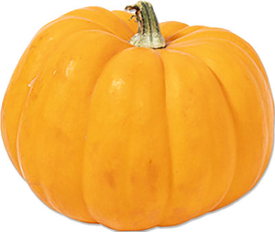 Tango Orange Ornamental Pumpkin - Each - Image 1