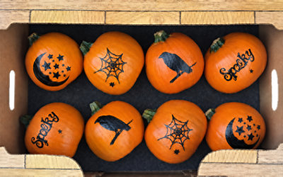 White Painted Pun-kin Pumpkin - Each - Image 1