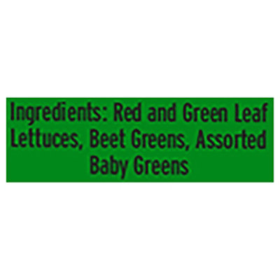 Bright Farms Spring Mix - 8 OZ - Image 3