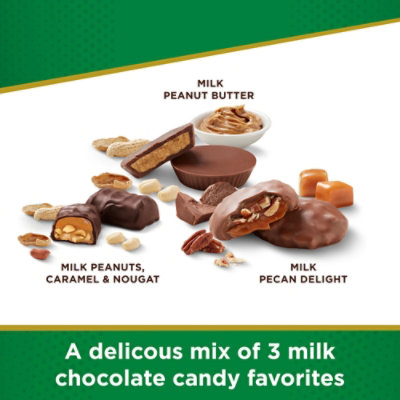 Rs 15.5oz Sugar Free Assorted Chocolate Candy With Nuts Gusset Bag - 15.5 OZ - Image 2