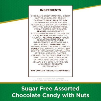 Rs 15.5oz Sugar Free Assorted Chocolate Candy With Nuts Gusset Bag - 15.5 OZ - Image 4
