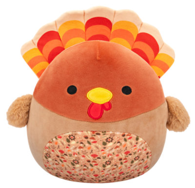 Terry Turkey 8 inch Squishmallow- EA - Image 1