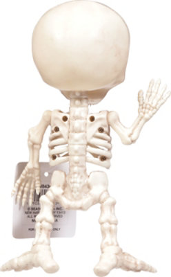 Crazy Bonez Alien Bonez - Each - Image 4