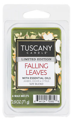 Tuscany Falling Leaves Wax Melt - 2.5 OZ - Image 1