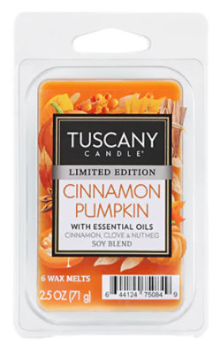 Tuscany Cinnamon Pumpkin Wax Melt - 2.5 OZ - Image 1