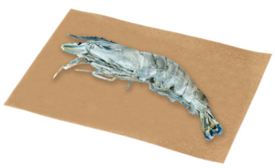 Shrimp 15-20 Ct Head On Iqf 24 Oz - 24 OZ - Image 1