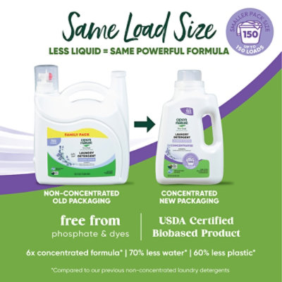 Open Nature Liquid Laundry Detergent Lavender 75 Fluid Ounce - 75 FZ - Image 3