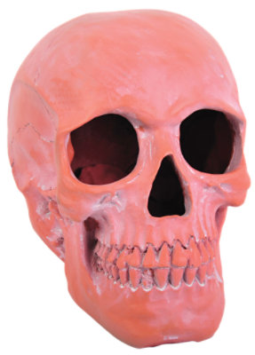 Hol Ceramic Skull Terracotta - EA - Image 1