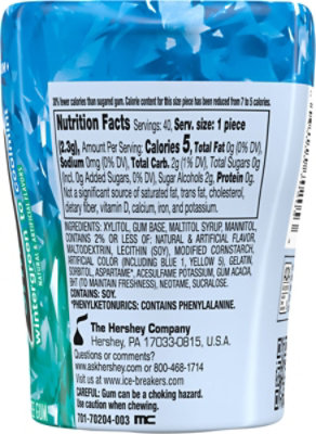 Ic Flavor Shifters Wintergreen Coolmint Sugar Free Bottle Pack - EA - Image 6