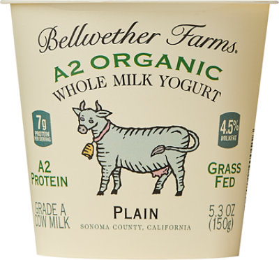 Bellwether Farms Organic A2 Yogurt - 5.3 OZ - Image 1