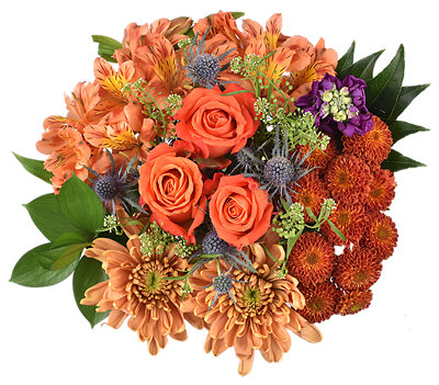 Debi Lilly Boss Day - Each - Image 1