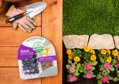 Naturipe Snacks Sweet & Crunchy Boost Bento - 3.2 OZ - Image 4