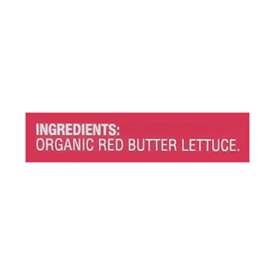 O Organics Lettuce Red Baby Butter 5 Oz - 5 OZ - Image 3