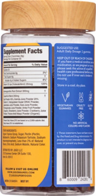 Jugo Focus Superfoods Gummies - 40 CT - Image 5
