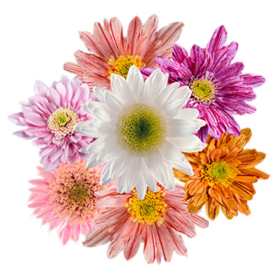 Margarita Rainbow - Each - Image 1