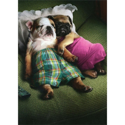Dog Couple Resting on Pillow Cute Pug and Bulldog Romantic Valentine's Day Card - Image 1