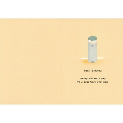 Nothing Can Spoil the Joys of Motherhood: Changing Table and Laundry Basket Funny Mother's Day Card for New Mom - Image 2