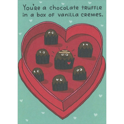 You're a Chocolate Truffle in a Box of Vanilla Cremes Funny Valentine's Day Card - Image 1