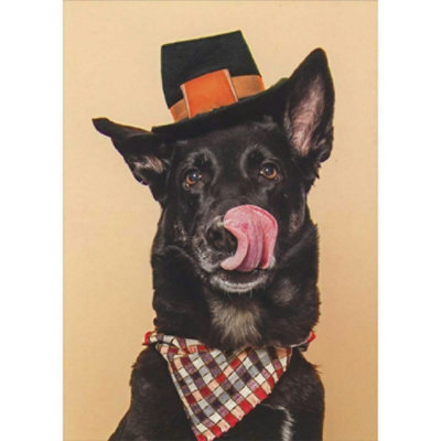 Black Dog Licking Lips and Wearing Pilgrim Hat and Napkin Funny Thanksgiving Card - Image 1