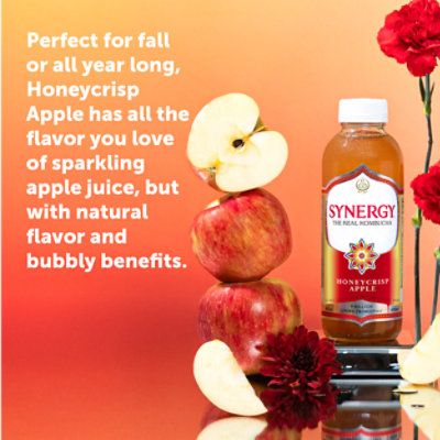 Synergy The Real Kombucha Honeycrisp Apple - 16 Fl. Oz. - Image 2