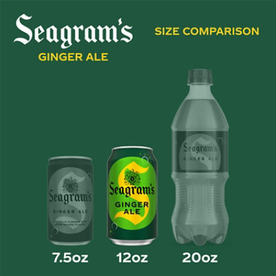 Seagrams Ginger Ale 15-12fz - 15-12 FZ - Image 2