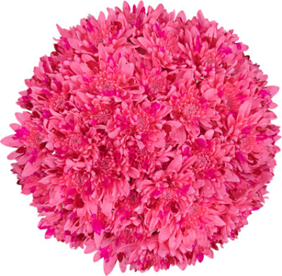 Be Mine Puppy 14 Inch - Each - Image 1