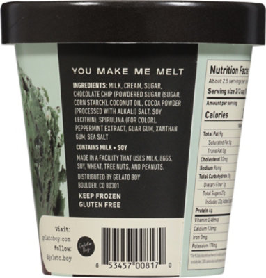 Gelato Boy Ice Cream Mint Chip - 14 OZ - Image 5