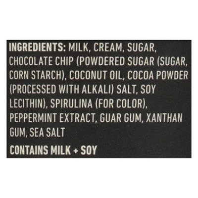 Gelato Boy Ice Cream Mint Chip - 14 OZ - Image 4