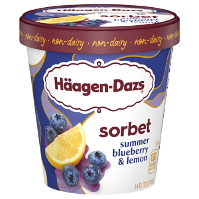 Haagen Dazs Summer Blueberry And Lemon Sorbet 14fz - 8-1.75FZ - Image 3