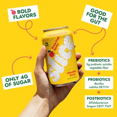 Slice Grapefruit Spritz Healthy Soda - 12 FZ - Image 3