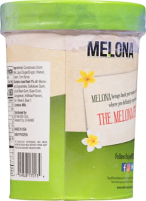 Melona Honeydew Melon Ice Cream Tub  1.5 Qt - 1.5 QT - Image 6
