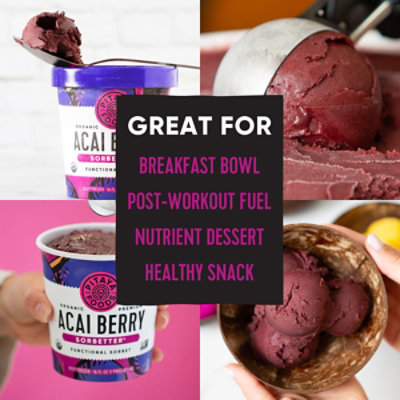 Pitaya Foods Sorbet Organic Acai Berry - 16 OZ - Image 7