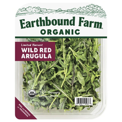 Earthbound Farms Arugula Wild Red Organic - 4 OZ - Image 2