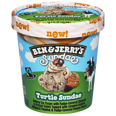 Ben & Jerry's Ice Cream Turtle Sundae - 14.4 FZ - Image 1
