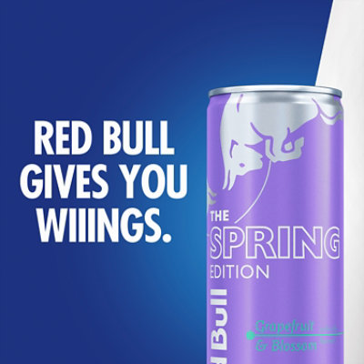 Red Bull Spring Edition Energy Drink Grapefruit With 114Mg Caffeine In 4 Pack Can - 12 Fl. Oz. - Image 4