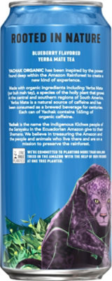 Yachak Yerba Mate Blueberry - 16 FZ (Pack of 12) - Image 3
