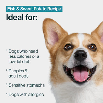 Justfoodfordogs Fish & Sweet Potato - 18 OZ - Image 3