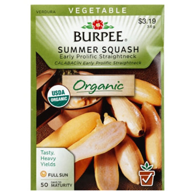 Org Squash Summer Early Prolific Straightneck Seed Packet - EA - Image 1