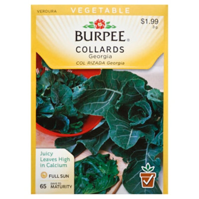 Collards Georgia Seed Packet - 3 GR - Image 1