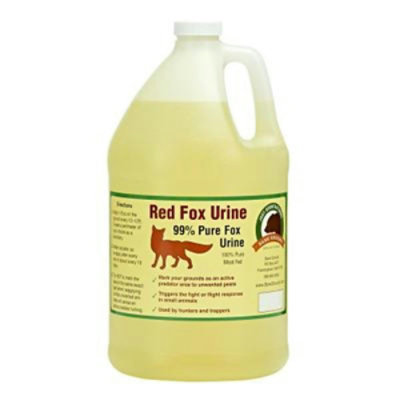 Just Scentsational 128 oz Fox Urine by Bare Ground - Image 1