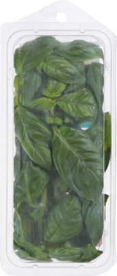 Thats Tasty Basil Organic - .5 OZ - Image 5