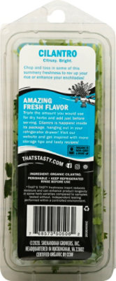 Thats Tasty Cilantro Organic - .5 OZ - Image 5