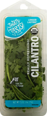 Thats Tasty Cilantro Organic - .5 OZ - Image 2