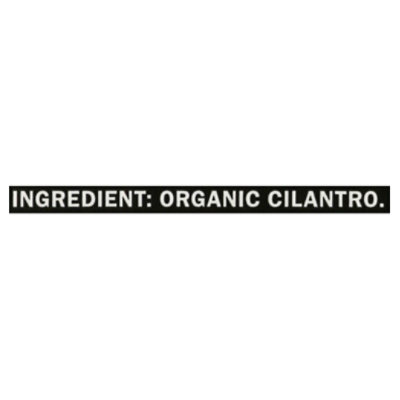 Thats Tasty Cilantro Organic - .5 OZ - Image 4