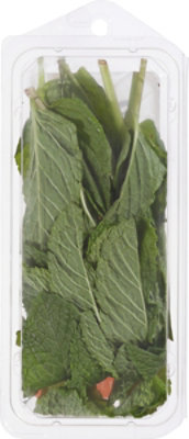 Thats Tasty Mint Organic - .5 OZ - Image 5